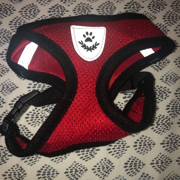 Cat Harness W. Leash (Fits 4-8 LB Cat) - Picture 4 of 5